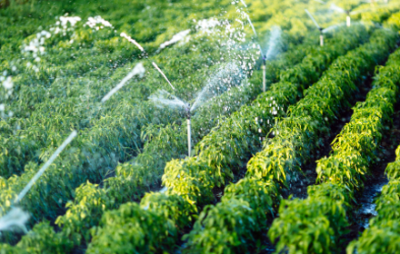 Water Irrigation 2 1